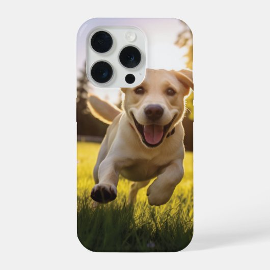 Joyeux Labrador Puppy Running (Verso)