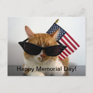 Joyeux Memorial Day Chat Cool avec Carte Postale d