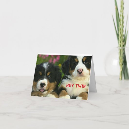 JOYEUX NOËL À UNE CARTE DE "JUMEAU" SPÉCIALE (Devant)