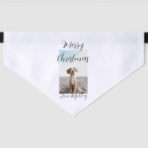 Joyeux Noël animal chat chat photo cadeaux de vaca