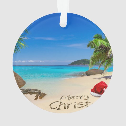 Joyeux Noël avec le casquette de Père Noël dans (dos)