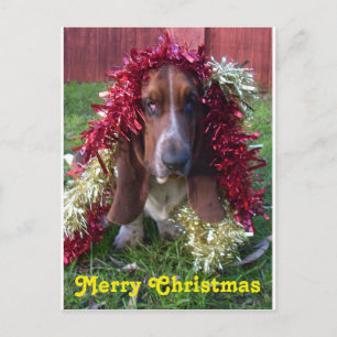 Joyeux Noël Basset Hound de carte postale dans la
