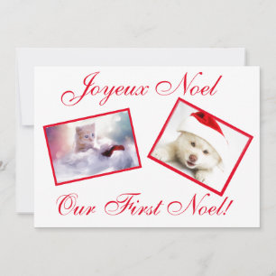 Joyeux Noel Best Friends Animaux Première Carte No