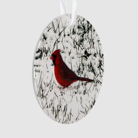 Joyeux Noël Cardinal à double face (devant)