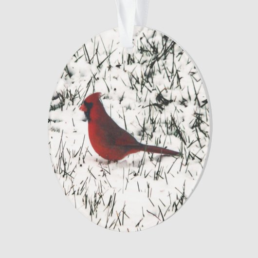 Joyeux Noël Cardinal à double face (devant)