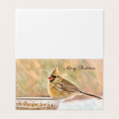 Joyeux Noël - Cardinal féminin (Outside Unfolded)