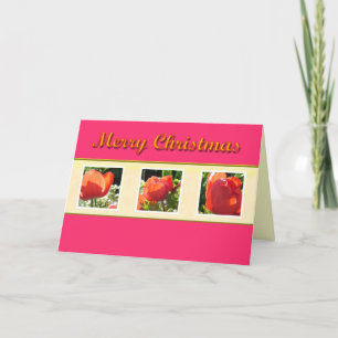 Joyeux Noël carte de vœux aux fleurs rouges.