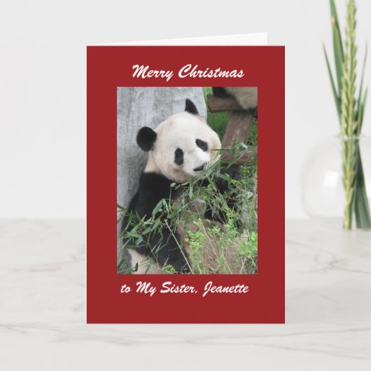 Joyeux Noël Carte de voeux Panda, frontière rouge (Devant)
