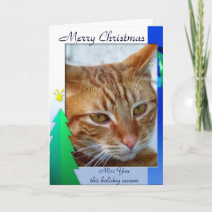 Joyeux Noël, carte féline