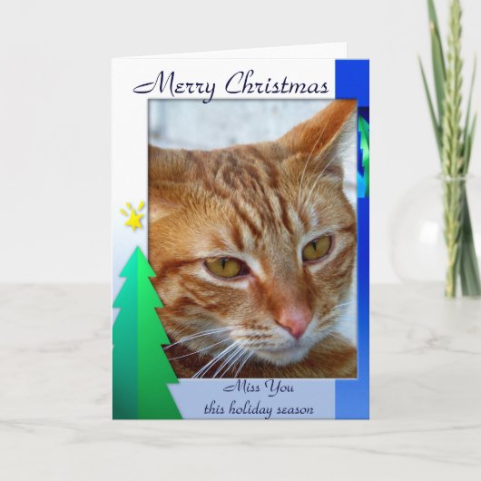 Joyeux Noël, carte féline (Devant)