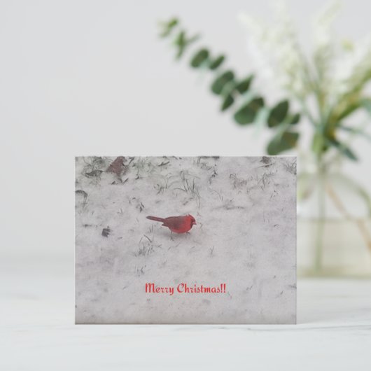 Joyeux Noël ! ! Carte postale (Debout devant)