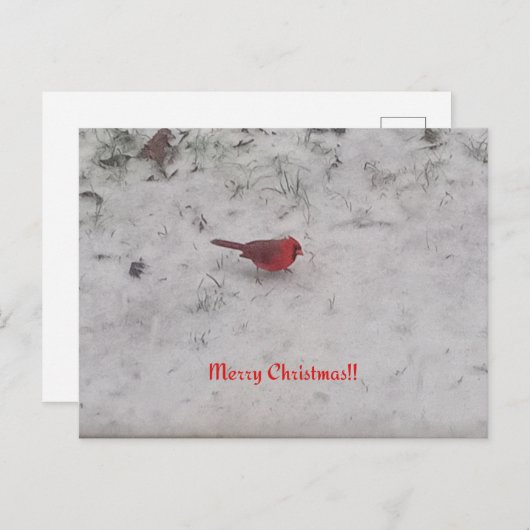 Joyeux Noël ! ! Carte postale (Devant / Derrière)