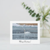 Joyeux Noël carte postale de cygne à neige (Debout devant)