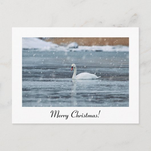 Joyeux Noël carte postale de cygne à neige (Devant)