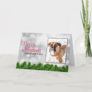 Joyeux Noël Cartes de Chien - Boxe Chien Noël