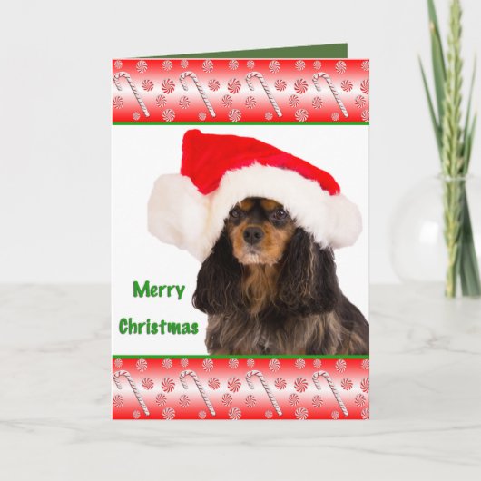 Joyeux Noël Cavalier King Charles Carte (Devant)