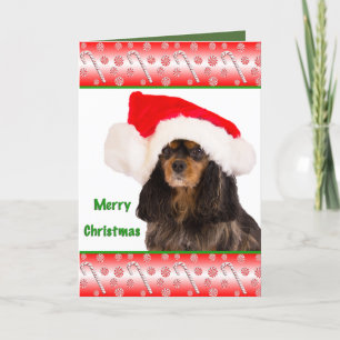 Joyeux Noël Cavalier King Charles Carte