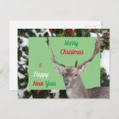 Joyeux Noël cerf et carte postale Holly (Devant / Derrière)