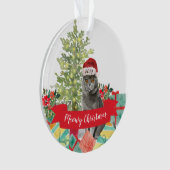 Joyeux Noël chat British Shorthair (devant)