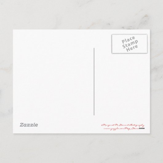 Joyeux Noël Chickadees Carte postale (Dos)