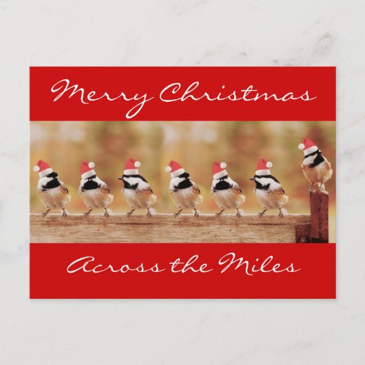 Joyeux Noël Chickadees Carte postale (Devant)