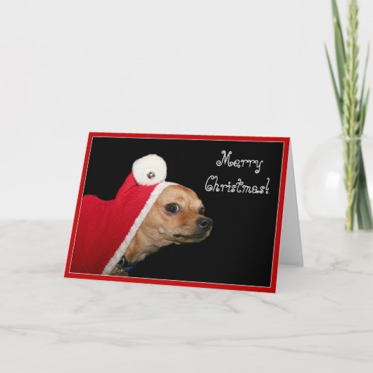 Joyeux Noël Chihuahua carte de voeux (Devant)