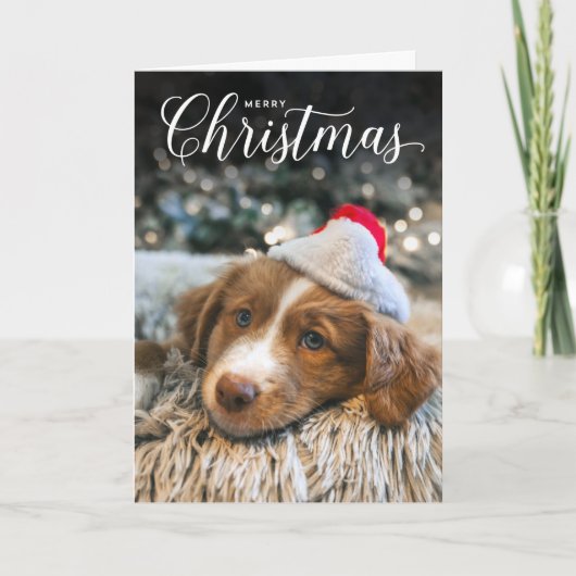 Joyeux Noël classique Type Carte photo (Devant)