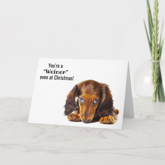 Joyeux Noël Dachshund Chien Animal Carte de vacanc (Devant)