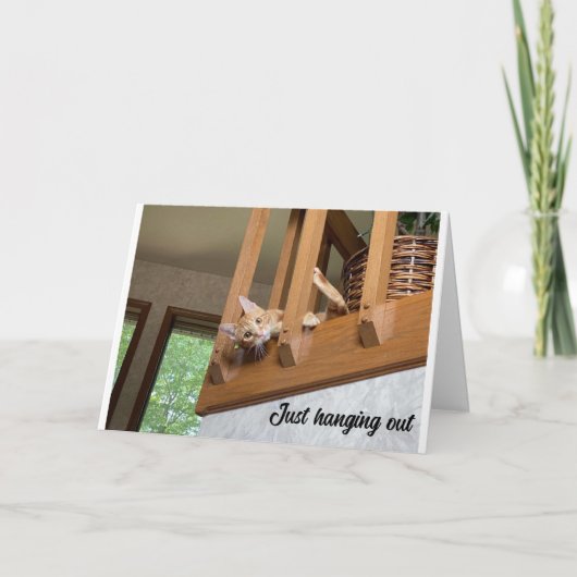 "JOYEUX NOËL" DE CARTE DE CHAT QUI SE BALANCE (Devant)