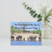 Joyeux Noël de la carte postale Eléphants Chobe (Debout devant)