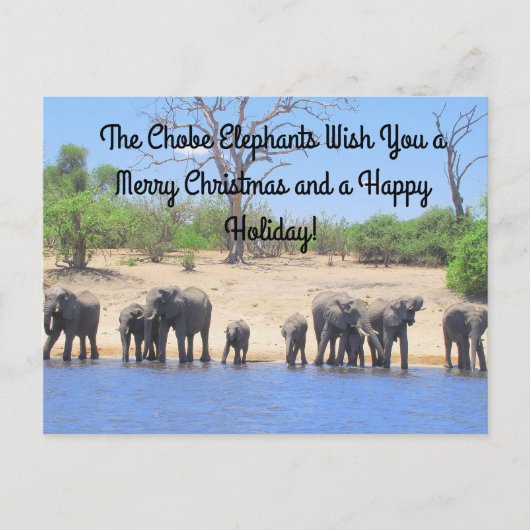 Joyeux Noël de la carte postale Eléphants Chobe (Devant)