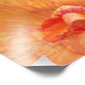 Joyeux Noël Floral Orange Flower Photographie (Coin)