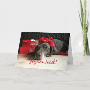 Joyeux Noël Franse kerstkaart Feestdagen Kaart