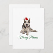 Joyeux Noël husky carte de Noël (Devant / Derrière)