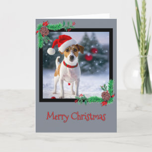 Joyeux Noël Jack Russell Terrier Carte de voeux