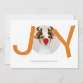 Joyeux Noël Joie Orange Carte photo (Devant)