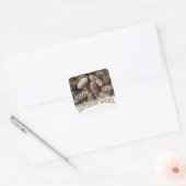 Joyeux Noel Kerstmis Vakantie Pine Cone Vierkante Sticker (Envelop)