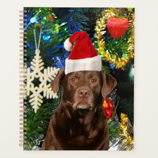 Joyeux Noël Labrador Retriever Chien Santa Hat (Devant)