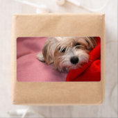 Joyeux Noël marque cadeau étiquette (En situation)