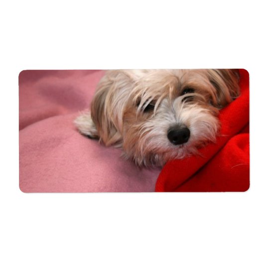 Joyeux Noël marque cadeau étiquette (Devant)