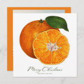 Joyeux Noël Oranges Photo Carte Budget (Devant / Derrière)