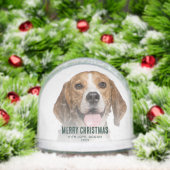 Joyeux Noël Photos Animal de compagnie Chien perso (Noël)