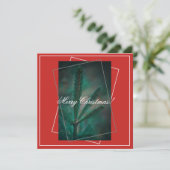 Joyeux Noël Pine verte Fir Tree Carte de voeux (Debout devant)