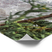 Joyeux Noël. Poster Claude Monet (Coin)