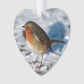 Joyeux Noël Robin dans la neige (devant)