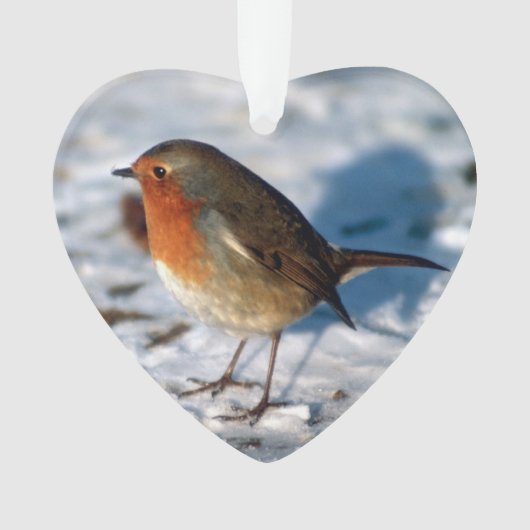 Joyeux Noël Robin dans la neige (devant)