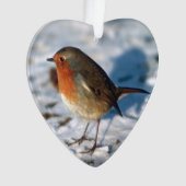 Joyeux Noël Robin dans la neige (devant)