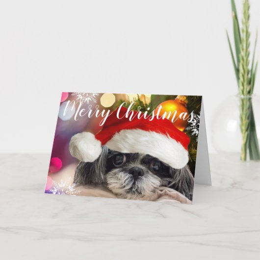 Joyeux Noël Shih Tzu Carte de voeux (Devant)