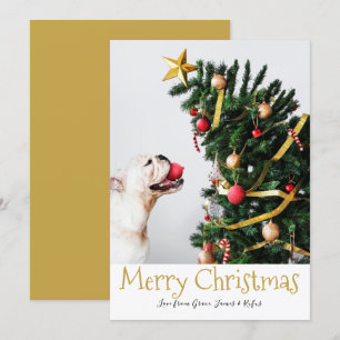 Joyeux Noël Simple Fun Carte photo de texte