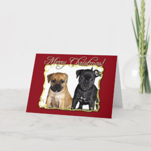 Joyeux Noël Staffordshire carte des terriers taure